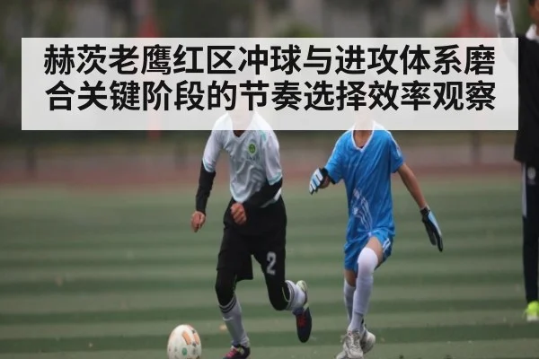 赫茨老鹰红区冲球与进攻体系磨合关键阶段的节奏选择效率观察